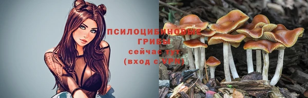 тгк Арсеньев