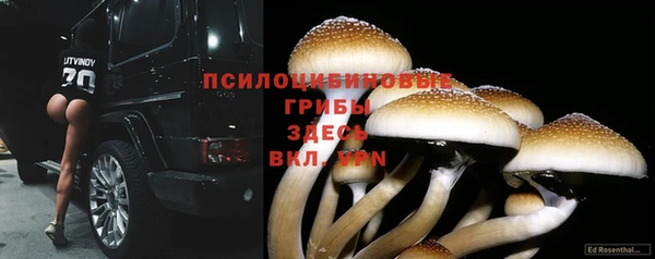 прущие крисы Армянск