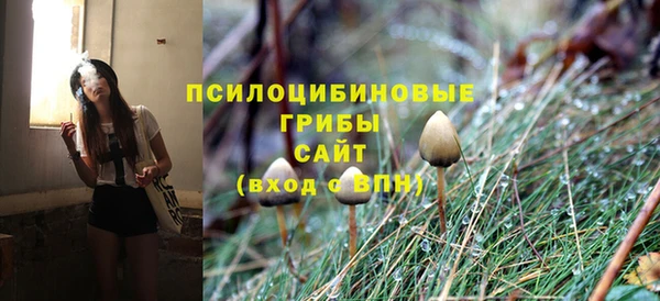 тгк Арсеньев