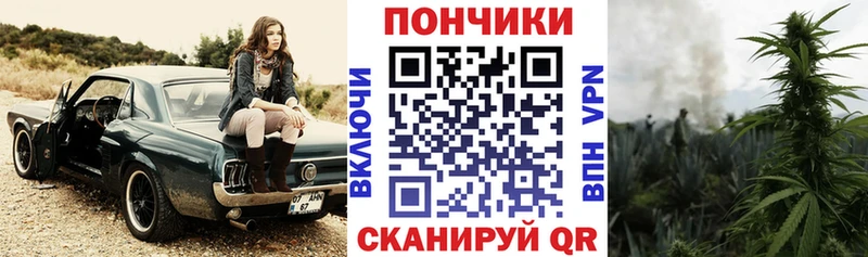 Канабис план OMG ССЫЛКА Куса